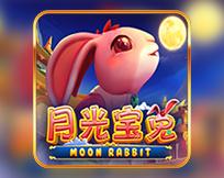 Moon Rabbit